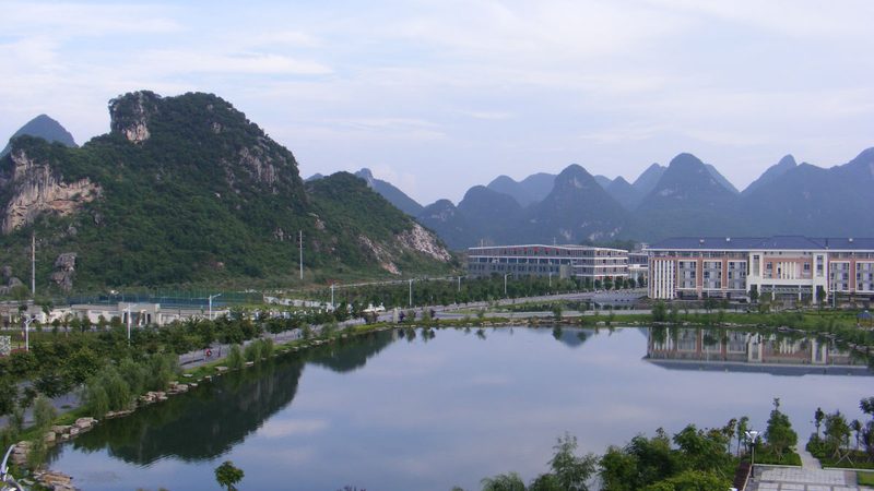继电器品牌如何选择？揭秘十大品牌对比与区别**