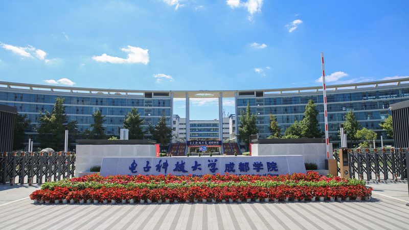 解码电子元器件与配件分类标准，揭秘行业规范背后的秘密