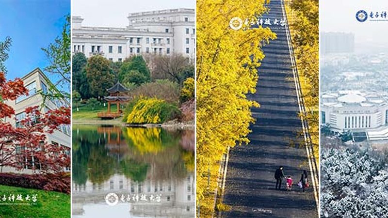 电子科技公司设备报价单模板：揭秘其背后的关键要素